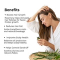 Amla & Rosemary Hair Oil — For Hair Growth & Hair Fall Control (200ml)