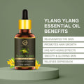 Ylang Ylang Essential Oil - 15ml
