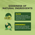 Olive Bhringraj Oil - 100ml