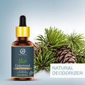 Cedarwood Essential Oil - 15ml