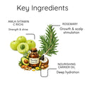 Amla & Rosemary Hair Oil — For Hair Growth & Hair Fall Control (200ml)