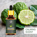 Bergamot Essential Oil - 15ml