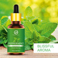 Peppermint Essential Oil - 15ml