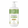 Keratin Repair Rosemary Shampoo for Damaged, Dry & Frizzy Hair - 350ml
