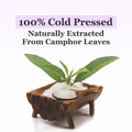 Camphor (Kapoor) Oil - Cold Pressed for Skin & Hair (100ml)