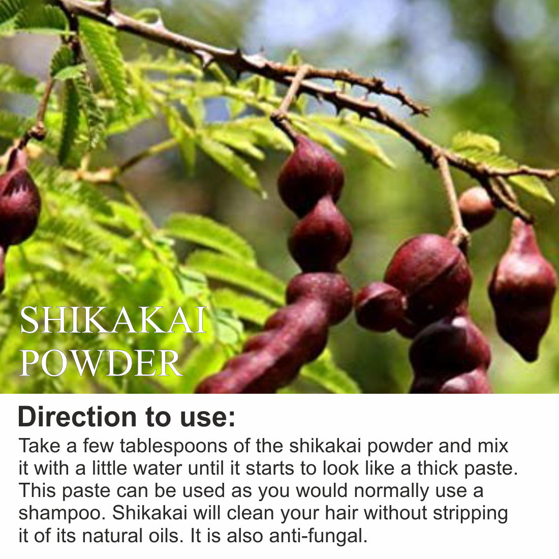 Shikakai Powder For Skin & Complete Hair Care - 100mg