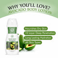 Avocado Moisturizing Body Lotion for Dry & Sensitive Skin with 24 hr Nourishment - 218ml