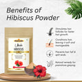 Amla Reetha Shikakai Bhringraj Hibiscus Hair Powder Combo (Pack of 5, 500g)