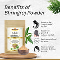Amla Reetha Shikakai Bhringraj Hibiscus Hair Powder Combo (Pack of 5, 500g)