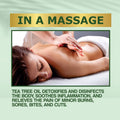 Tea Tree Body Oil for Skin Cleansing & Moisturization - 100ml