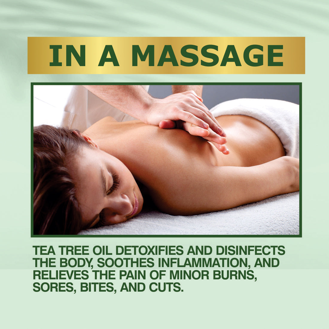 Tea Tree Body Oil for Skin Cleansing & Moisturization - 100ml