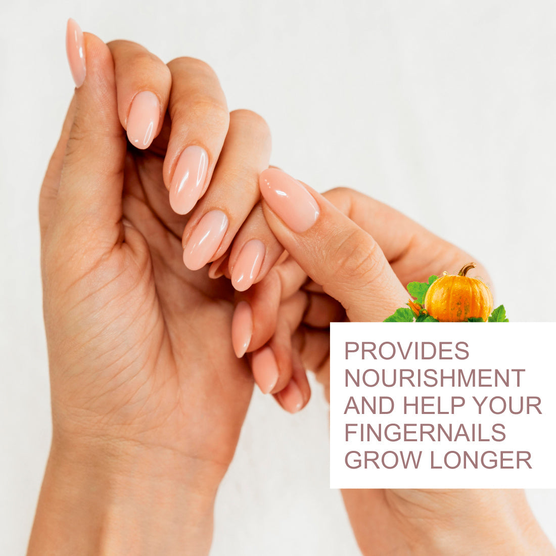 Pumpkin Essential Oil - 15ml