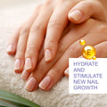 Vitamin E Essential Oil for Face & Body - 15ml