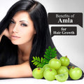 Amla Powder for Healthy Skin & Hair - 100gm