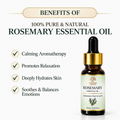 Rosemary Essential Oil - Hair Growth & Aromatherapy (15ml)
